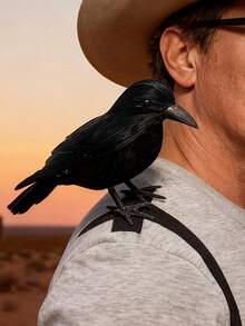1pc Realistic Crow Decor With Black Feathers And Shoulder Strap, Suitable For Gothic Cosplay, Halloween And Christmas Celebrations (No Battery Required) - View 2