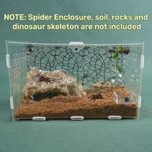 6PCS/Set Jumping Spider White Cloud Shaped Platform With Hiding Spot And Climbing Net, Jumping Spider Transparent Round Ball Habitat, Perfect Habitat Decoration For Insects, Reptile Fence Accessories, Suitable For Wolf Spiders And Spiders Climbing, Resting And Exploring - View 4