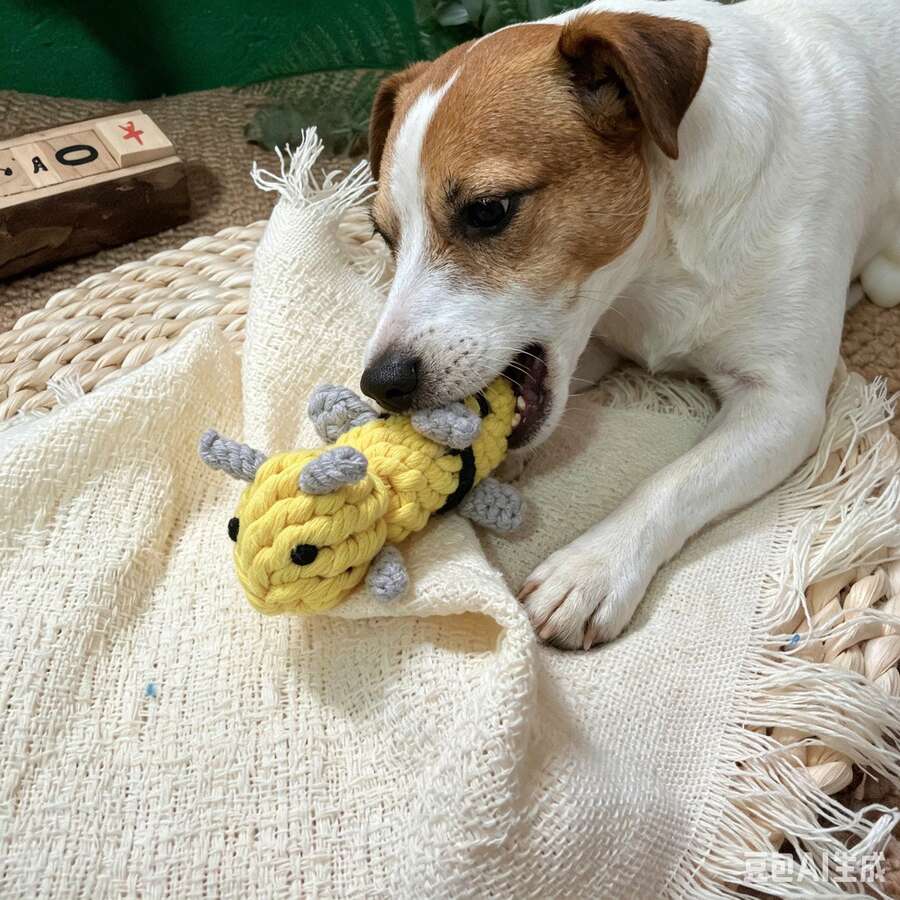 Little Bee Shaped Chew Rope Toy For Pets, Durable, Teeth Cleaning, Interactive Training, Suitable For Medium And Large Dogs, Stress Relief, Pet Supplies - Little Bee - View 1