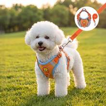 Reflective No Pull Dog Harness & Leash Set, Adjustable Escape Proof Soft Vest Harness For Small Medium Dogs & Cats, Comfortable Pet Walking Harness For Outdoor Training & Travel - MultiWarna - View 1
