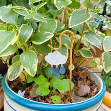 Ensemble 2/4 pièces Élégant Nuages et Gouttes de Pluie, Ensemble de décoration de jardin, décoration de table intérieure pour plantes, support de croissance des plantes, piquets de plantes et piquets de sol pour décoration suspendue, ajouts de plantes d'intérieur, monde merveilleux magique - Plusieurs styles - Voir 5