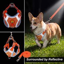Reflective No Pull Dog Harness & Leash Set, Adjustable Escape Proof Soft Vest Harness For Small Medium Dogs & Cats, Comfortable Pet Walking Harness For Outdoor Training & Travel - MultiWarna - View 5