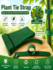 50/100 piezas Bridas antideslizantes para plantas, bridas de cable para plantas, correas de gancho y bucle, bridas para coronas navideñas, correas de jardín ajustables con hebilla de gancho y bucle, organizador de cables autoadhesivos y cables de datos, adecuadas para plantas trepadoras, soporte y aplicaciones de jardinería, herramientas de mantenimiento de jardín - A - Ver 2