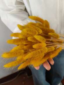 60/120/180/240支 44cm 人造兔尾草，居家裝飾人造兔尾草莖，適用於波希米亞風花卉裝飾、DIY手工藝、居家廚房與婚禮裝飾、聖誕裝飾、感恩節裝飾、DIY花環裝飾 - 黃色 - 查看 6