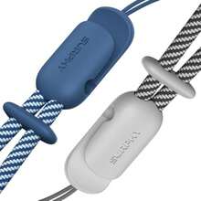 Arrendajo azul y gris