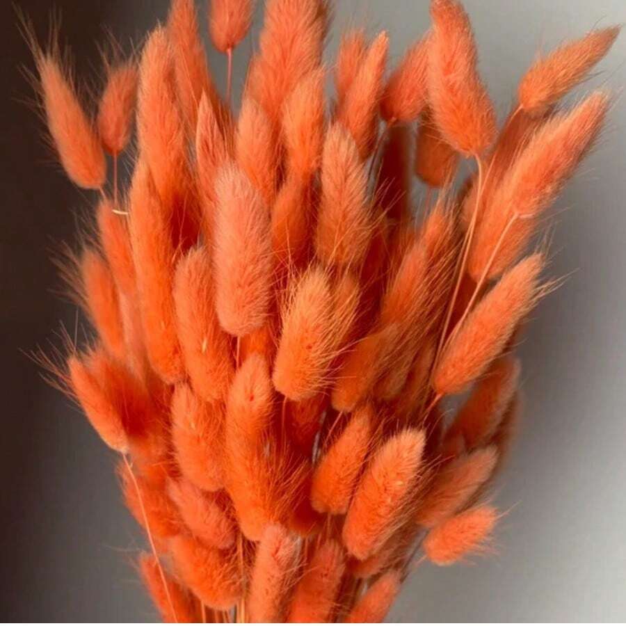60/120/180/240支 44cm 人造兔尾草,家居裝飾人造兔尾草莖,適用於波希米亞風花藝布置、DIY手工藝、居家廚房及婚禮裝飾、聖誕裝飾、感恩節裝飾、DIY花環裝飾 - 橘色 - 查看 1