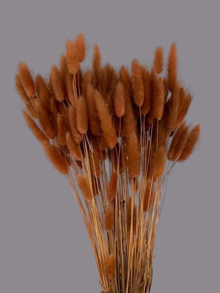 60/120/180/240支 44cm 人造兔尾草,家居裝飾人造兔尾草莖,適用於波西米亞花藝布置、DIY手工藝、居家廚房與婚禮裝飾、聖誕裝飾、感恩節裝飾、DIY花環裝飾 - 鏽棕色 - 查看 1