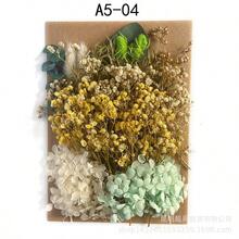 Dried Flower Material Kit - A5-18 - View 10
