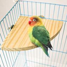 2pcs Bird Perch Platform, Parrot Standing Fan-Shaped Playground Wooden Perch Toy Cage Accessories, Suitable For Parrots, Cockatiels, Budgies, Lovebirds, Sugar Gliders, Rats, Mice, Hamsters Exercise Toys - View 4