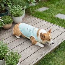 DomKim Lightweight Breathable Pet Cooling Vest, Summer UV Protection Sleeveless Top, Quick-Dry Insect-Repellent, Outdoor Walking Heatstroke Prevention Vest, Suitable For Small, Medium, Large Dogs And Cats - Green - View 10