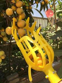 1pc Fruit Picking Basket Head, Portable Fruit Picker, Compatible With Apple And Peach Picking, Farm And Garden Picking Equipment, Gardening Tool, Durable Fruit Picker, Bright Yellow High-Altitude Fruit Picking Basket, Ergonomic Design, Convenient For Picking Bayberry, Loquat, Plum And Other Fruits, Garden Farm Gardening Tool, Used For Picking Loquat, Bayberry, Peach, Plum And Jujube From High Places In The Garden - Multicolor - View 3