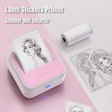 PK+1 Roll Sticker