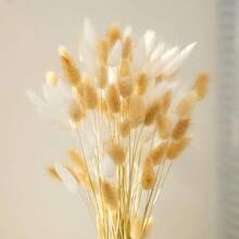 Artificial Reed Grass Decor, 17 Inch Reed Floral Decoration, Bulk Tall Reed Grass, Rabbit Tail Artificial Plants Bohemian Wedding Decor - White Raw - View 4