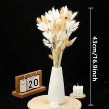Artificial Reed Grass Decor, 17 Inch Reed Floral Decoration, Bulk Tall Reed Grass, Rabbit Tail Artificial Plants Bohemian Wedding Decor - White Raw - View 6