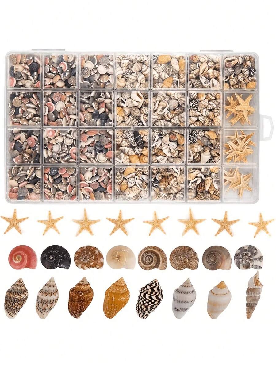 1000件裝混色小貝殼與海星裝飾品，盒裝不易碎，海灘風天然貝殼，適用於DIY珠寶製作、水族箱裝飾、派對蠟燭台裝飾、婚禮裝飾與手工項目，居家浴缸造景、小魚展示增美，適用於家居裝飾、花瓶填充物、蠟燭配件