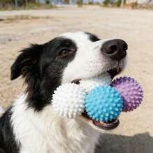 Dog Toy Ball/Dental Cleaning Durable Biting Elastic Ball Pet Boredom Buster/Biting Without Damaging Teeth! Dog Teething Spiky Ball Dental Cleaning And Boredom Relief 2-In-1/ TPR Spiky Ball Durable Biting Teething Dog Chew Ball Teddy Puppy Corgi Pet Training Ball Puppy Adult Dog Universal Boredom Buster Dental Cleaning Elastic Ball Small And Medium Dog Interactive Training Toy Anti-Destructive Pet Supplies - Multicolor - View 7