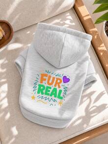 PETCIRCLE 1件寵物衣物 狗貓衣服 戶外室內穿著 小狗幼犬 春秋舒適套頭連帽衫 連帽印花運動衫系列 素色運動衫 - 淺灰色 + 熱轉印印花逼真可愛 - 灰色 - 查看 7
