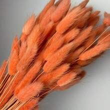 60/120/180/240支 44cm 人造兔尾草，家居裝飾人造兔尾草莖，適用於波希米亞風花藝布置、DIY手工藝、居家廚房及婚禮裝飾、聖誕裝飾、感恩節裝飾、DIY花環裝飾 - 橘色 - 查看 7