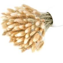 Artificial Reed Grass Decor, 17 Inch Reed Flower Decoration, Bulk Tall Reed Grass, Rabbit Tail Artificial Plant Bohemian Wedding Decor - Raw - View 4