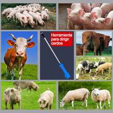 Farm Animal Accessories - View 10