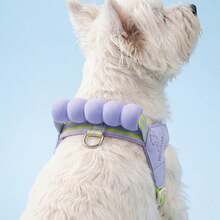 Dog Saddle-Style Harness, Anti-Slip Anti-Choke Leash Vest For Small And Medium Dogs, Cross-Border Pet Cat And Dog Harness With Soft Handle And Drawstring, Pet Chest Chain, Suitable For Outdoor Use - Multicolor - View 9