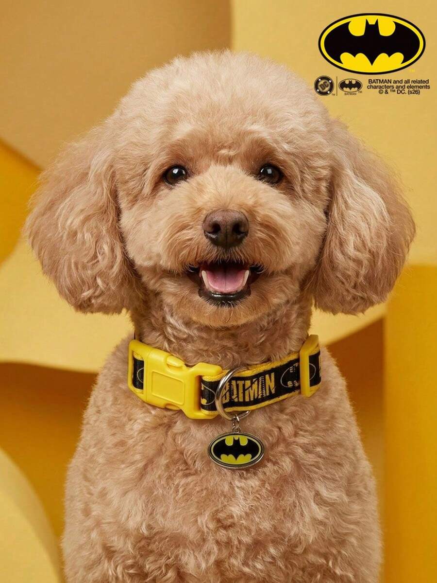 Batman X PETSIN Pet Letter Print Collar - Black - View 1