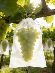 1/50/100pcs Breathable Anti-Insect Covers, Hidden Drawstring, Fruit Mesh Bags, Suitable For Orchards And Fruit Trees, Bird And Insect Protection Net, Protect Apples And Grapes From Damage - Multicolor - View 6