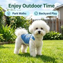 DomKim 夏季透氣網眼狗冷卻背心，透氣網眼寵物服裝，防紫外線防蟲無袖上衣，預防中暑，柔軟舒適，適合小型中型大型犬戶外穿著 - 寶藍色 - 查看 10