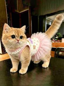 粉色蝴蝶蕾丝荷叶边公主风猫咪连衣裙，夏季款 - 彩色 - 查看 4