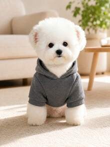 PETCIRCLE 1件寵物服飾 狗貓衣服 戶外室內穿著 小狗幼犬 春秋舒適套頭連帽衫 附帽印花運動衫系列 素色運動衫 - 煙灰色 + 熱轉印印花嘻哈狗 - 灰色 - 查看 4