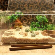 熱帶雨林風格水族箱植物裝飾，仿真棕櫚樹與綠草魚缸造景 - 歡樂水族 - 查看 5