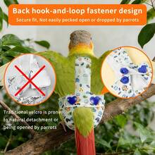 Cartoon Parrot Diaper With Strap Ring, Cute Printed Bird Flight Suit, Indoor/Outdoor Use - 1PC - View 5