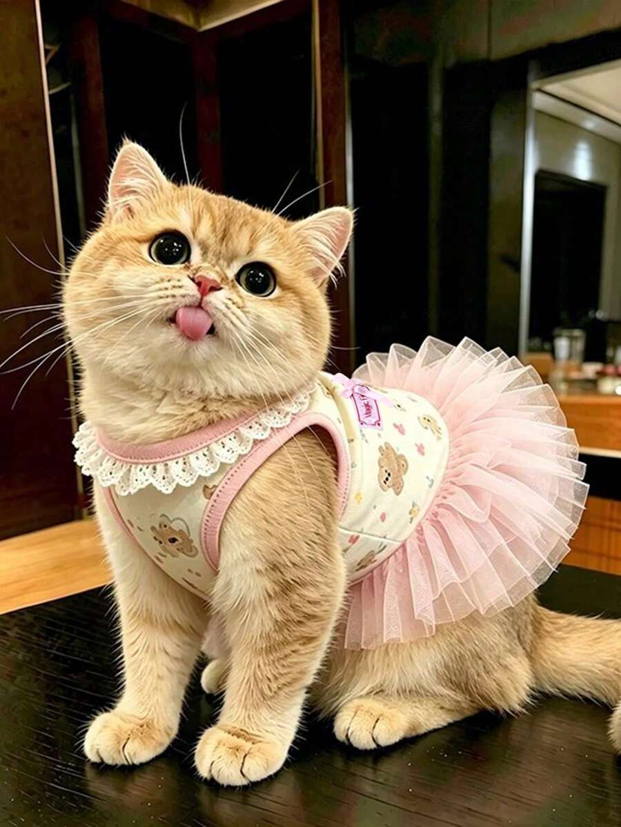 粉色蝴蝶蕾丝荷叶边公主风猫咪连衣裙,夏季款 - 彩色 - 查看 1