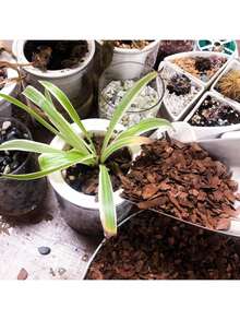 10盎司有機蘭花樹皮覆蓋物，通用植物基層，適用於蘭花盆栽、園藝和草坪護理 - A - 查看 5