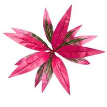 1/2/4/6/8/10件裝龍血樹人造綠植，21.65英吋人造綠植，戶外人造綠植，適用於戶外、居家辦公室、花園走廊穀倉裝飾，婚禮週年紀念節日（復活節、母親節、聖帕特里克節），春夏裝飾，懸掛展示，室內外通用 - 中紫紅色 - 查看 7