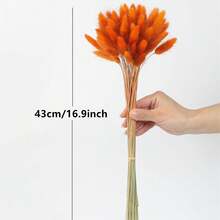 Decoración de hierba de junco artificial, decoración floral de junco de 17 pulgadas, hierba de junco alta a granel, planta artificial de cola de conejo, decoración de boda bohemia - Naranja - Ver 3