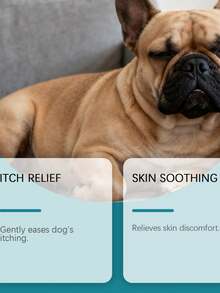 Pet Skin Care Spray, Gentle Ingredients To Relieve Pet Skin Discomfort, Topical Care Spray - 查看 4