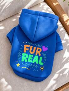 PETCIRCLE 1件寵物衣物 狗貓衣服 室內外穿搭 小狗幼犬 春秋舒適套頭連帽衫 附帽印花運動衫系列 素色運動衫 - 寶藍色 + 熱轉印貼布 逼真可愛 - 藍色 - 查看 5