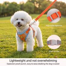 Reflective No Pull Dog Harness & Leash Set, Adjustable Escape Proof Soft Vest Harness For Small Medium Dogs & Cats, Comfortable Pet Walking Harness For Outdoor Training & Travel - MultiWarna - View 10