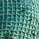 Mint Blue