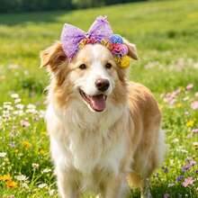 1/3pcs Pet Sequin Mesh Bow Headband, Elastic Non-Tight Hair Accessory For Dogs And Cats, Pet Decoration Supplies, Cute Photo Props, Suitable For Birthday Party / Wedding Dress-Up / Holiday Outings, Gift For Pets / Valentine's Day / Christmas / Halloween - Multicolor - View 7