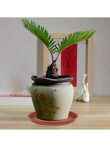 6个棕色植物托盘，6-12英寸/16-30厘米加厚塑料圆形植物托盘，花盆托盘，室内花碟，鸟浴盆，花盆托盘，种植配件 - 棕色 - 查看 7