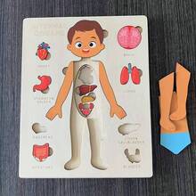 1pc Children's Educational Wooden Puzzle For Body Structure Learning And Cognition, Parent-Child Interactive Toy For Mothers - Color Mixing - View 14