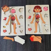 1pc Children's Educational Wooden Puzzle For Body Structure Learning And Cognition, Parent-Child Interactive Toy For Mothers - Color Mixing - View 5