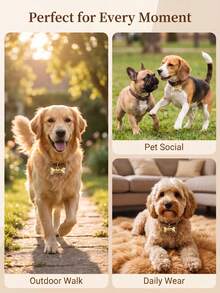 Customized Bone Shaped Pet ID Tag, Personalized Dog ID Tag Laser Engraved With Pet Name Address Phone Number, Durable Identification Tag For Dogs And Cats, Pet Supplies, Dog Medical Alert Tag - Multicolor - View 9