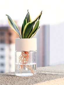 Mini Hydroponic Flower Pot Home Decor Vase Transparent Glass-Like Soilless Plant Pot Green Plant Pot Home Decoration Gardening Gift - A - View 3