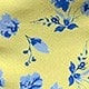 小黃花
