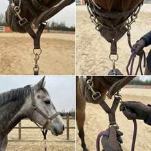 馬口雙頭鉤，馬牽繩鉤，馬術訓練連接尼龍織帶 - 彩色 - 查看 3