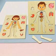 1pc Children's Educational Wooden Puzzle For Body Structure Learning And Cognition, Parent-Child Interactive Toy For Mothers - Color Mixing - View 11