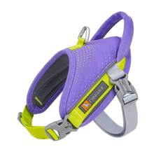 Arnés reflectante anti-estallido y anti-escape para mascotas, con forro de malla transpirable y cómodo, anillo en D de aluminio de alta calidad para correa, ligero y sin carga, asa auxiliar anti-estallido, adecuado para perros medianos y pequeños, uso doméstico y al aire libre. Asa anti-estallido de corto alcance, control de corto alcance, evita que el perro se desborde; se usa con correa corta al cruzar calles o en áreas concurridas; usa el asa para levantar y ayudar a la mascota a superar obstáculos o subir escaleras - Morado - Ver 16